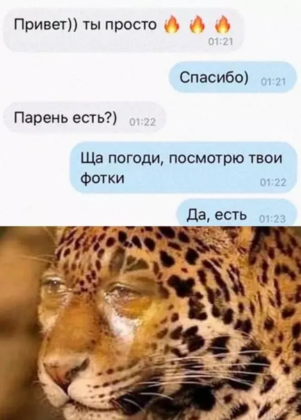 Смешная картинка №488406 переписка