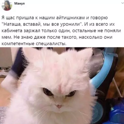 Смешная картинка №505411 ??