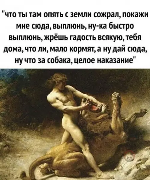 Смешная картинка №497935 Собачники поймут