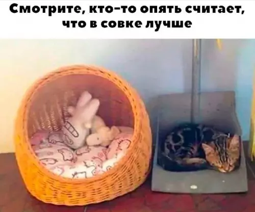 Смешная картинка №762677