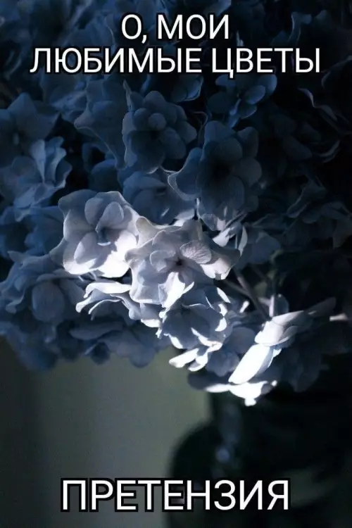 Смешная картинка №806108