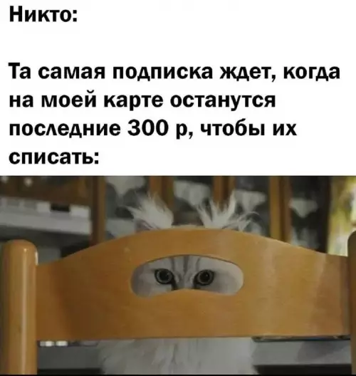 Тот самый момент, когда баланс на нуле 💀 - Никто: Та самая подписка ждет, когда на моей карте останутся