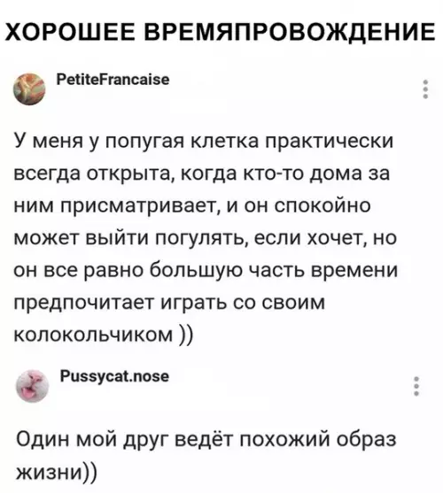 Смешная картинка №331324