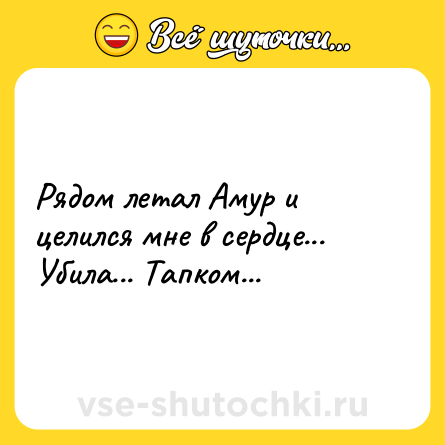 Шутка: Рядом летал Амур и целился мне в сердце... Убила... Тапком...