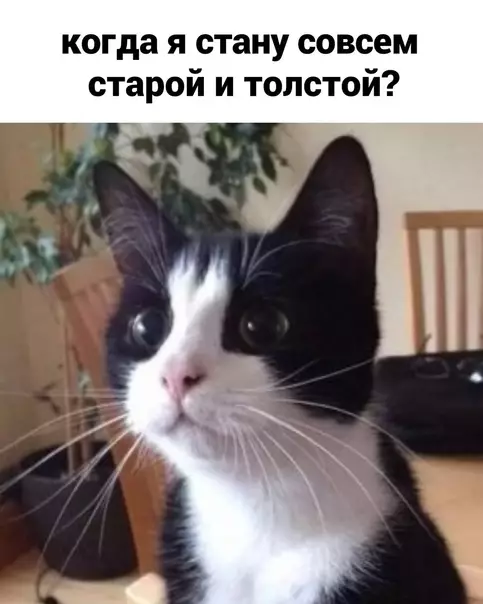 продолжение Смешная картинка №578848