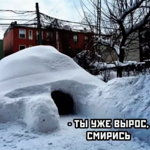 продолжение Смешная картинка №614300 А ведь так хотелось...