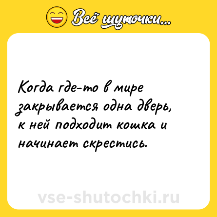 Шутка: Когда где-то в мире закрывается одна дверь, к ней подходит кошка и начинает скрестись.