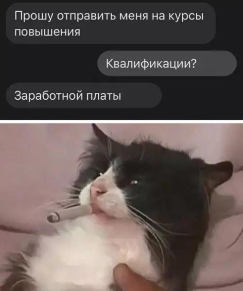 Смешная картинка №558901
