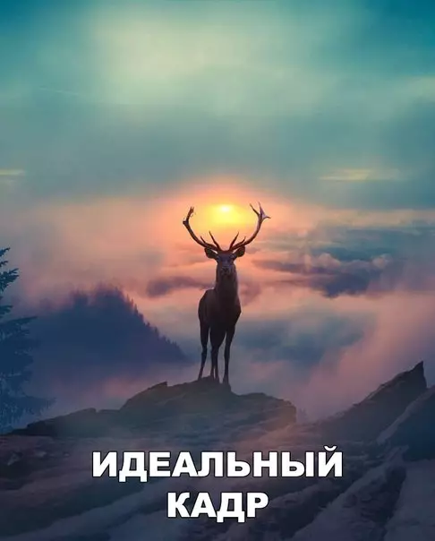 Смешная картинка №263211