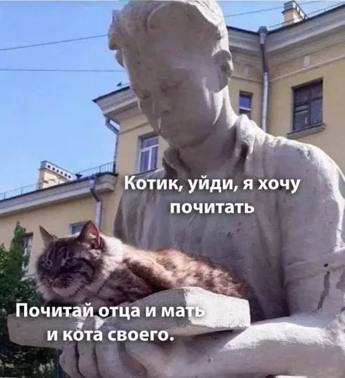 Смешная картинка №693759 Котик уйдиКомментарии