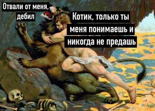 Смешная картинка №528237 кошки
