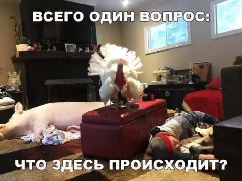 Смешная картинка №274209