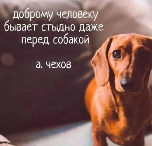 Смешная картинка №179471