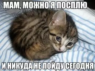 Смешная картинка №205385