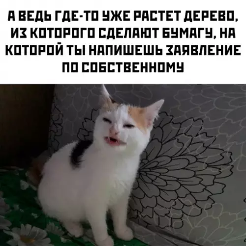 Смешная картинка №704583
