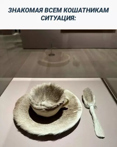 Смешная картинка №685533