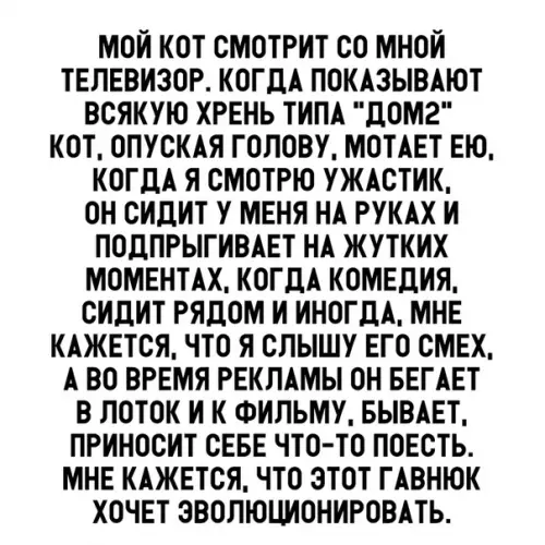Смешная картинка №308469