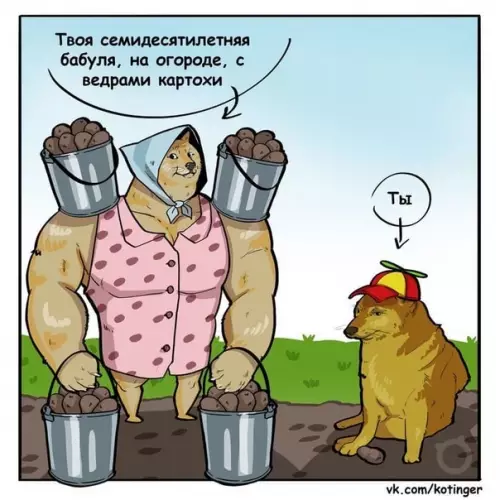 Смешная картинка №506871 Жизненнее уже ничего не увидите