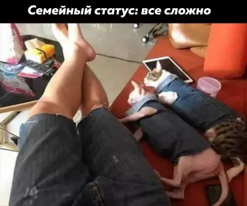 Смешная картинка №677108