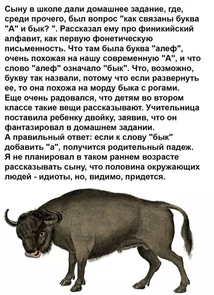 Смешная картинка №330768