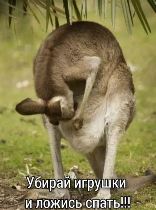 Смешная картинка №677407