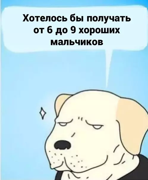 продолжение Смешная картинка №580494 Собаки