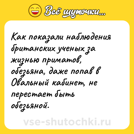 Шутка: Как показали наблюдения британских ученых за жизнью приматов, обезьяна, даже попав в Овальный кабинет, не перестает быть обезьяной.