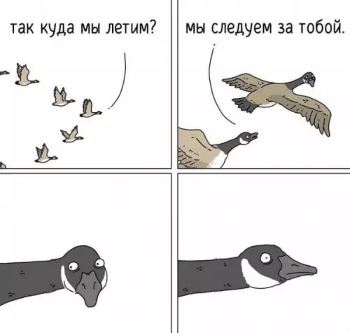 Смешная картинка №652274