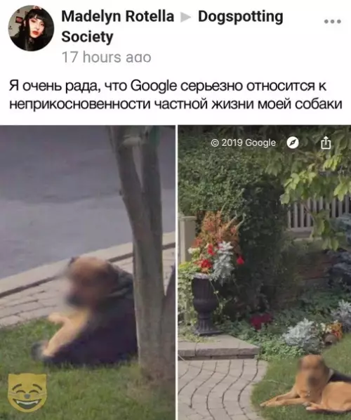 Смешная картинка №368883 #приколы #картинки #мемы ?