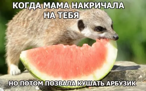 Смешная картинка №284674