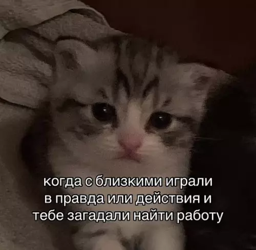 Смешная картинка №789724