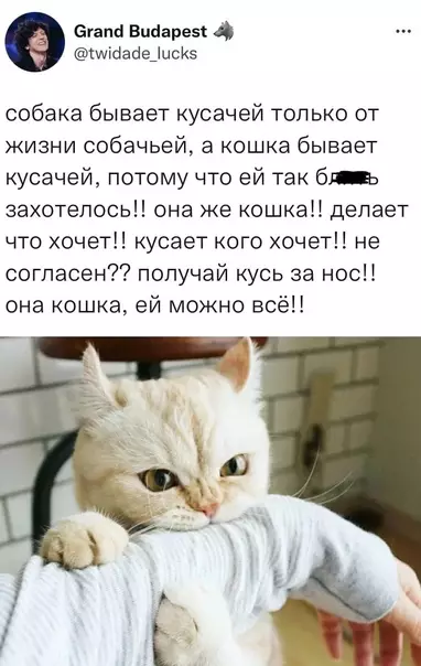 Смешная картинка №622990