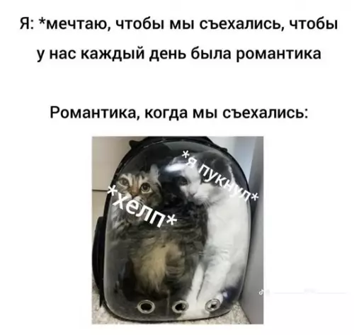 Смешная картинка №748490
