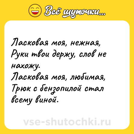 Шутка: Ласковая моя, нежная, <br>Руки твои держу, слов не нахожу. <br>Ласковая моя, любимая, <br>Трюк с бензопилой стал всему виной.