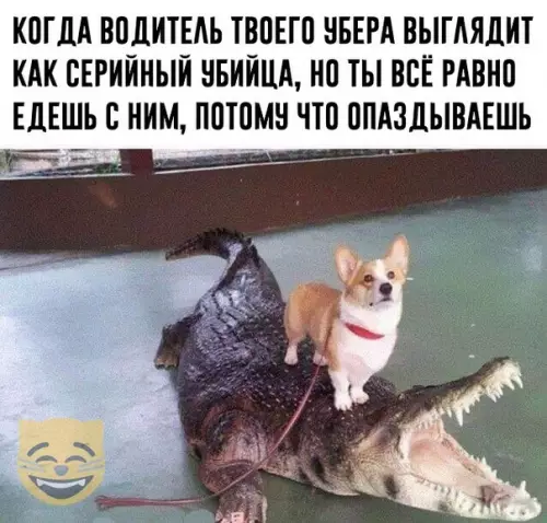 Смешная картинка №368112 #приколы #картинки #мемы ?