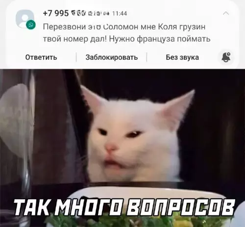 Смешная картинка №724466