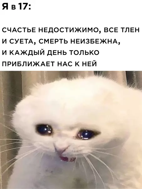 продолжение Смешная картинка №565527
