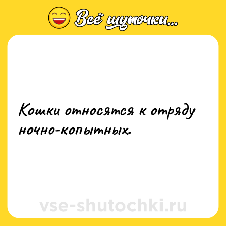 Шутка: Кошки относятся к отряду ночно-копытных.