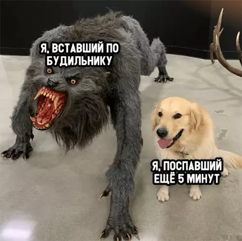 Смешная картинка №329927