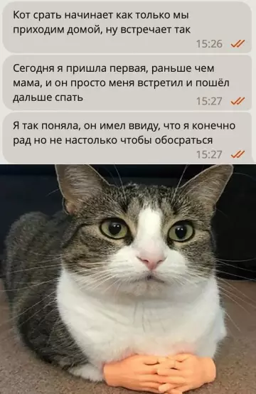Смешная картинка №781290