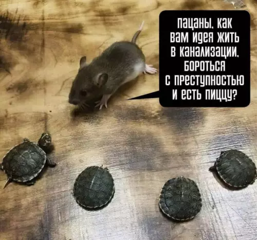 Смешная картинка №653530