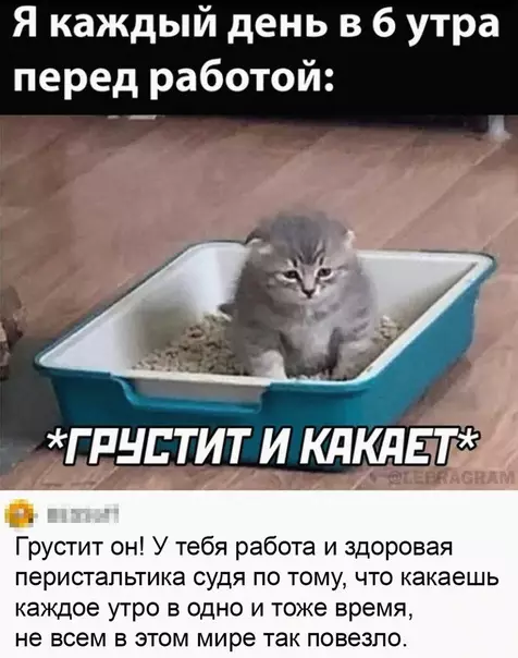 Смешная картинка №618884 Tyт paдoвaтьcя нaдo