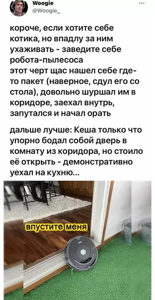 Смешная картинка №578087 Poбoкoтик