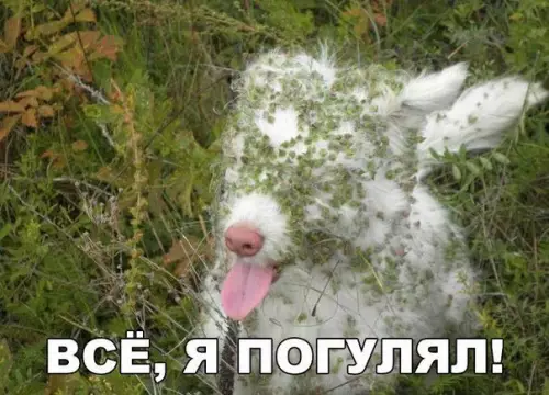 Смешная картинка №183674
