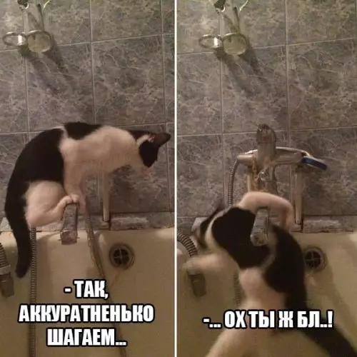Смешная картинка №206312