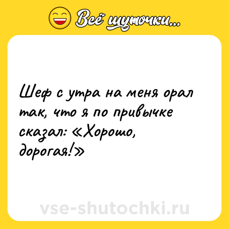 Шутка: Шеф с утра на меня орал так, что я по привычке сказал: «Хорошо, дорогая!»