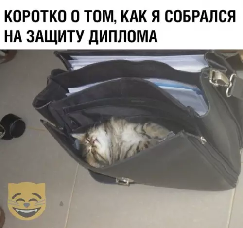 Смешная картинка №366500 #приколы #картинки #мемы ?