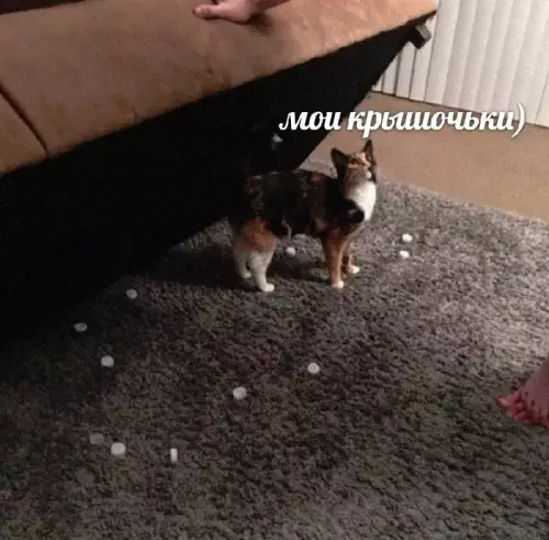 Смешная картинка №764128