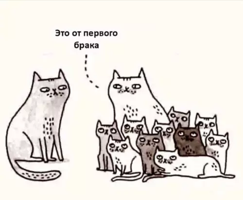 Смешная картинка №697409