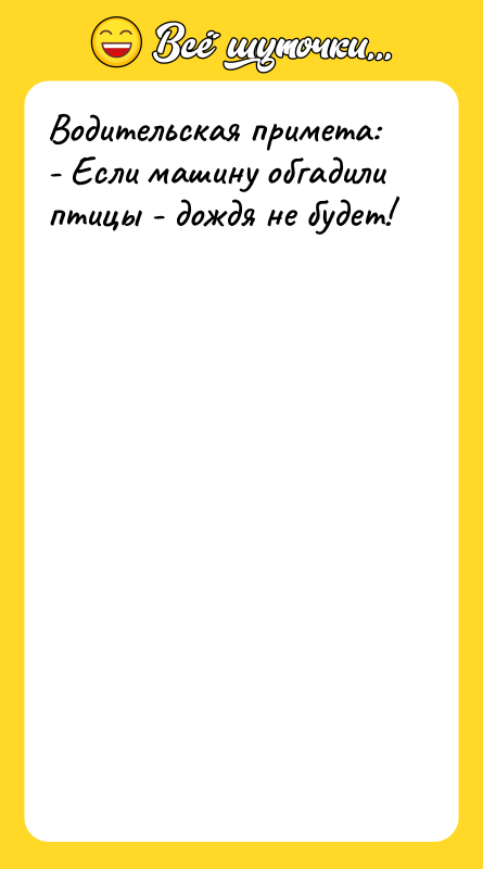 Водительская примета: - Если машину обгадили птицы - дождя не